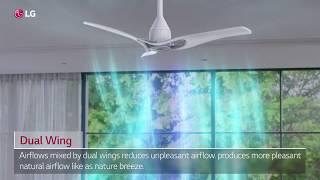 LG Ceiling Fans: Feature Video - Dual Wings