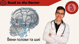 Вени голови та шиї | Внутрішня та зовнішня яремні вени