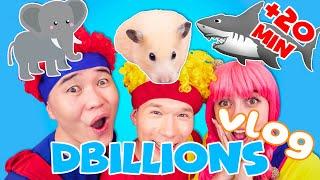 Learn Funny Animals for Kids! | D Billions VLOG English