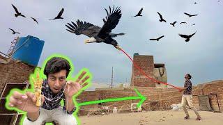 Eagle ko Patang Bana Diya 🪁 || Eagle Trap Video