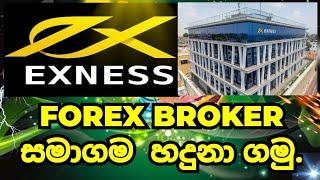 EXNEES FOREX BROKER GOOD OR BAB FOREX BROKER / HOW TO COPY TRADE