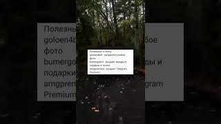 #edit #automobile #эдит #крмп #блекраша #crmp #крмп