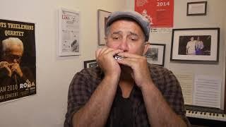 Suzuki Chromatic Harmonica SCX review video by Alex Rossi.