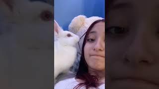 Hungry Rabbit VS. Girl's Hair! #Shorts