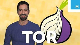 What is Tor and Should You Use It? | Mashable Explains