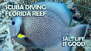 Dive Florida! Beautiful Dive off Fort Lauderdale (LBTS) w/ Aquanauts Scuba Academy- Eel, Angelfish +