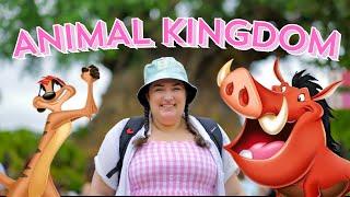 Animal Kingdom Fun Day | AP Lion King Magnet | DinoLand USA Updates | Disney World