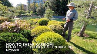 Japanese Gardening Techniques - How to Shear Karikomi and Tamamono Shrubs