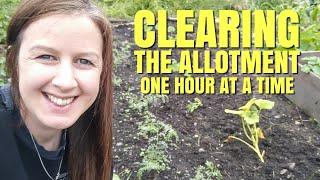 Clearing My Weedy Allotment One Hour At A Time | How To Tidy A Garden Quickly