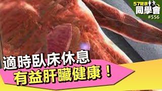 適時臥床休息 有益肝臟健康！【57健康同學會】第556集 2012年