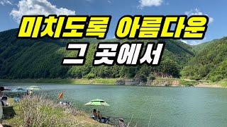 (SUB) 미치도록 아름다운 그곳에서...!! 붕어낚시 내림낚시 중층낚시  carp fishing へらぶな