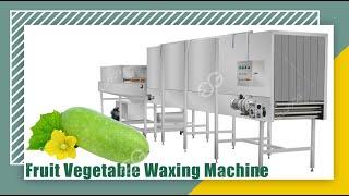 Industrial Fruit Vegetable Waxing Machine for Pumpkin