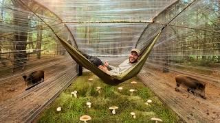 Building of an amazing dome shelter from plastic wrap. Harvesting mushrooms. Cook on fire. Camping