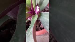 Obuna boʻlishni unutmang
