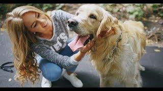 Top 6 Places To Walk Your Dog In Mandeville | Jones Physical Therapy