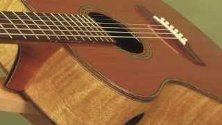 Guitar Gallery presents Stehr Auditorium Guitar