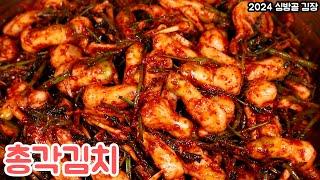 총각김치 맛있게 담그는 방법 2024 심방골 김장