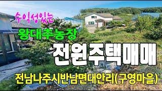 22-126[전남나주시지역주택][반남면대안리전원주택]독후산아래,구영마을,삼포천부근,왕대추나무비닐하우스,전원주택(730py)매매~