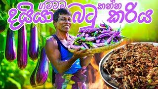 ගමටම කන්න දයියා වම්බටු කරිය, Spicy Eggplant / Brinjal Curry Cooked and Shared with Villagers.