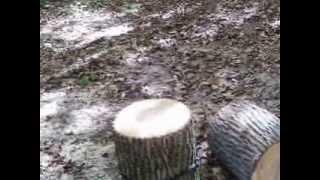 splitting wood with bungee cord