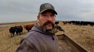 Day In The Life Of A South Dakota RANCHER!!