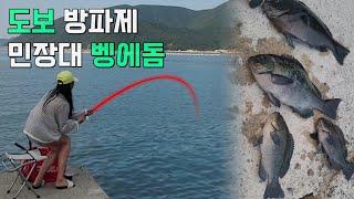 [낚시] 벵에돔이 사는 방파제 ! 차박 캠핑도 쌉가능한 곳/fishing