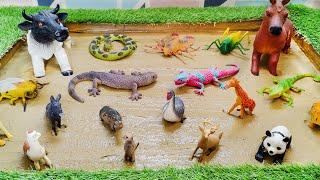 Farm Animals, Pet Animals and Insects Adventure in Sandbox | Learning with Laughter