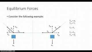 Equilibrium Forces