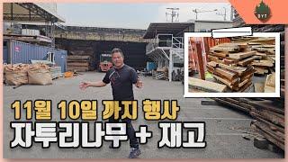 자투리 나무 + 목재재고 행사 판매 진행 【대양목재】