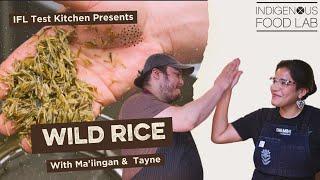 Wild Rice - Ma'iingan & Tayne