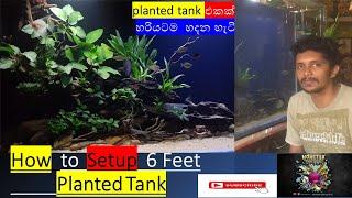 #plantedtank /how to setup planted tank/ planted tank /Monster fish Aqua SL/ #tanksetup #mfk