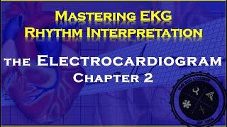 The Electrocardiogram