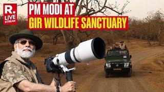 LIVE: PM Modi Goes On Lion Safari At Gir Wildlife Sanctuary In Gujarat | World Wildlife Day