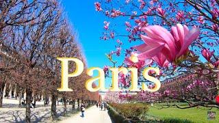 Today's walk [ Jardin du Palais Royal ]  the weather is very nice today     Paris  travel