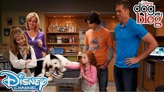 5 Nostalgic Moments | Dog With A Blog | Disney Channel UK