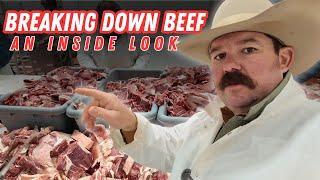 The Butcher Shop: An Inside Look Processing Beef | Bar 7 Ranch