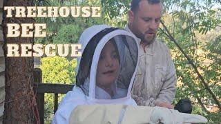 Tree House Honey Bee Rescue