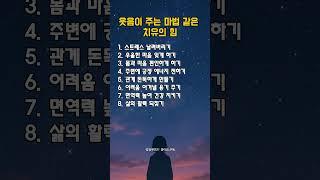 웃음이 주는 마법 같은 치유의 힘 │ 마음을 가볍게 만드는 행복 