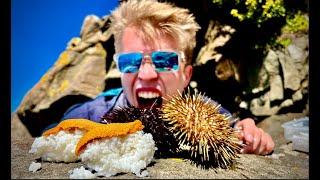 Hunting and Eating Tasmanian Wild Sea Urchin!