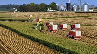 From Field to Feed: The 2024 Corn Silage Marathon at Stone Ridge Dairy