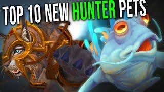 Top 10 New Hunter Pets Tamable in The War Within