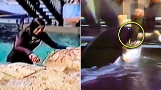 The Tragic Killer Whale Attack On Tamarie Tollison (*Actual Footage*)