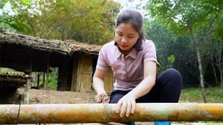 Build A Dream Bamboo House on my Farm in 7 Days and Harvesting Vegetables To Sell at the market