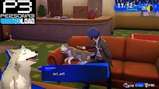 Koromaru All Characteristics Unlocks - Persona 3 Reload