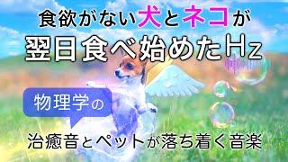 食欲がない犬と猫が元気になる治療音と全ソルフェジオ周波数音楽┃α波・θ波・デルタ波┃