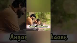 PAADHI NEEYAE EN PAADHI NEEYAE / VENNILAVU SARAL NEE SONG /#AMARAN MOVIE @KARTHICKSWEETKILLER696