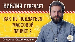 Как не поддаться массовой панике?  Библия отвечает. Священник Стахий Колотвин