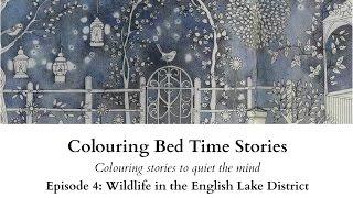 Colouring Bed Time Stories - Episode 4: Wildlife in the English Lake District