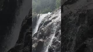 Cascada in jungla thailandeza, insula Koh Samui!️ #thailanda #cascada #kohsamui  #vlogdecalatorie