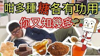 【港人講中醫】你懂得吃糖嗎？有冇食錯咗？！黑糖 紅糖 冰糖 麥芽糖 蜜糖 逐一介紹分別！粵語 有字幕